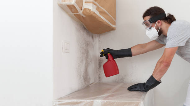 Attic Mold Remediation treatment on roof deck in Emerson